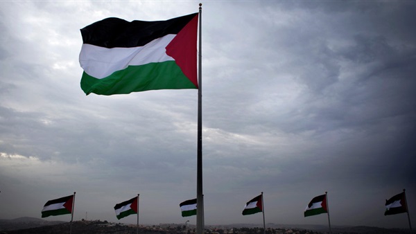 المواطن