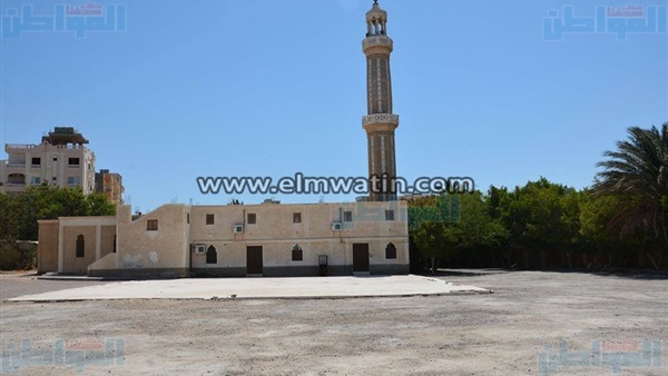 المواطن