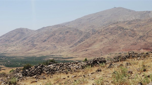 المواطن