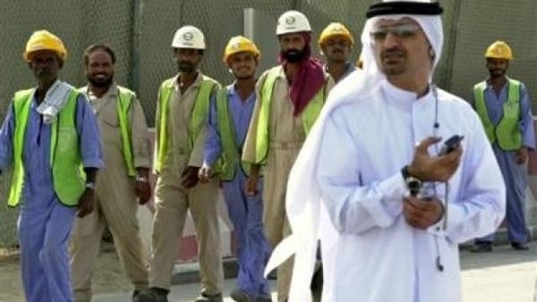 المواطن