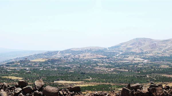المواطن