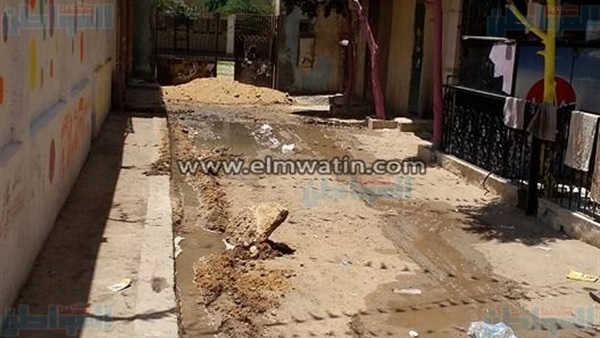 المواطن