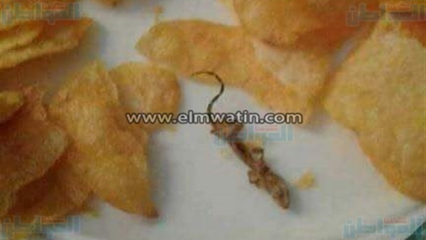 المواطن