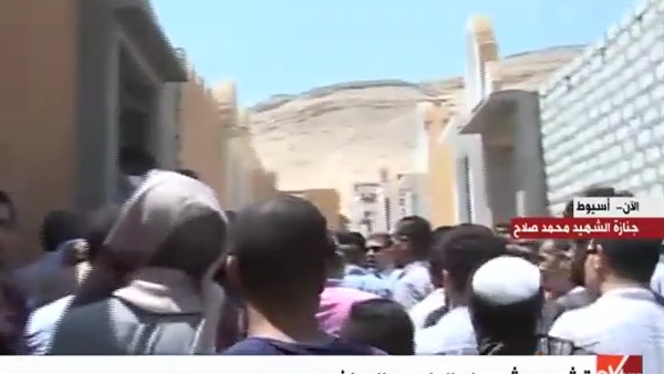 المواطن
