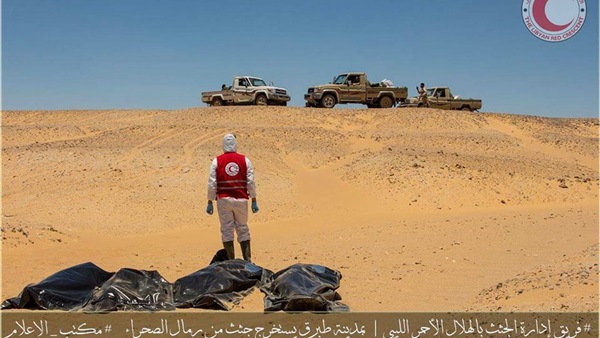 المواطن