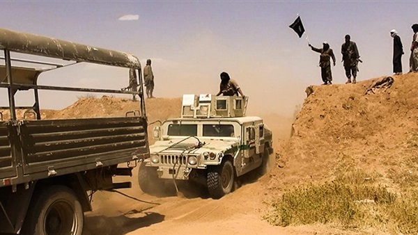 المواطن