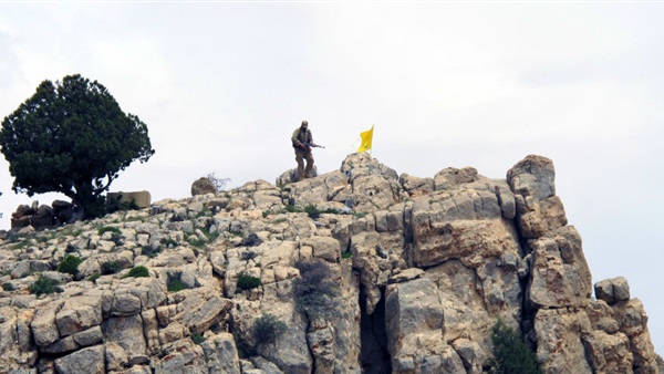 المواطن