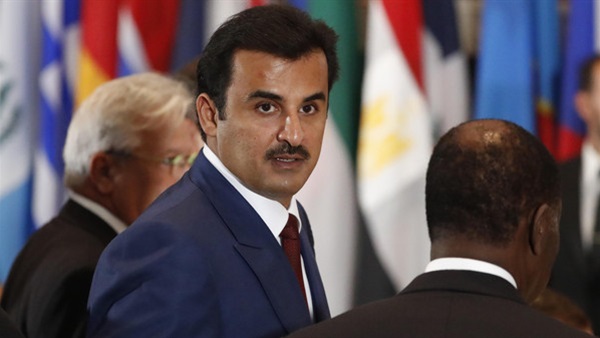 المواطن