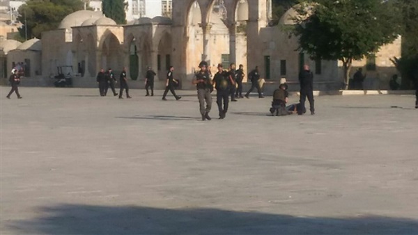 المواطن