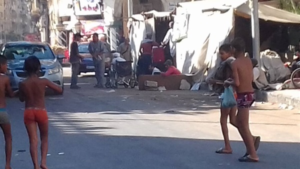 المواطن