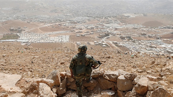 المواطن