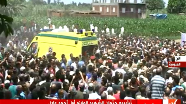 المواطن