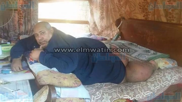 المواطن