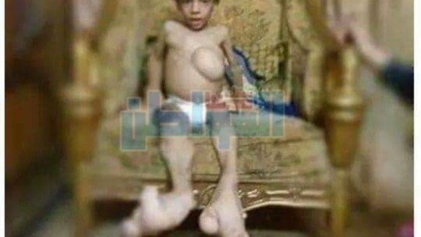 المواطن