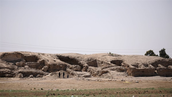 المواطن