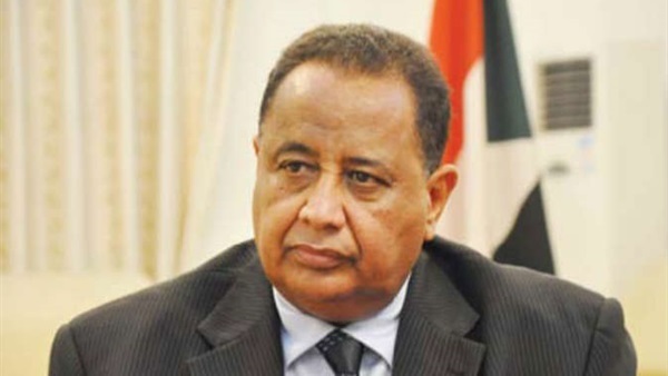 الدكتور إبراهيم غندور