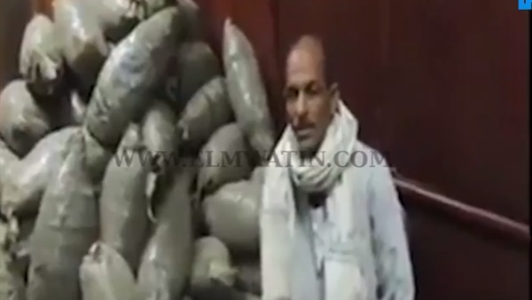 المواطن
