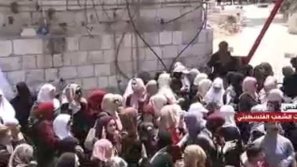 المواطن