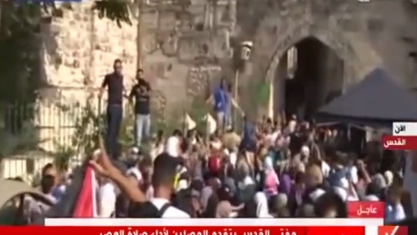 المواطن