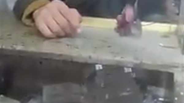 المواطن