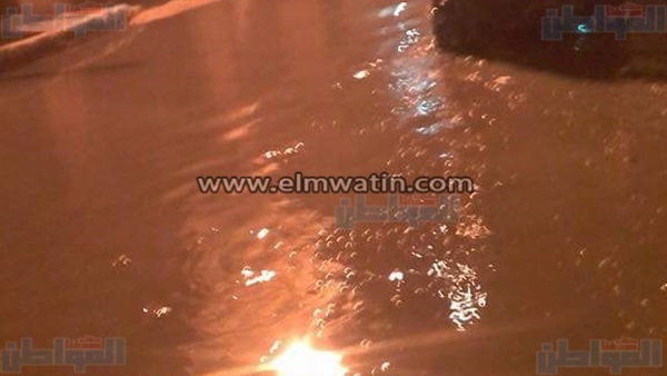 المواطن