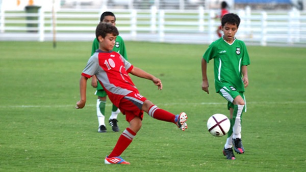 المواطن