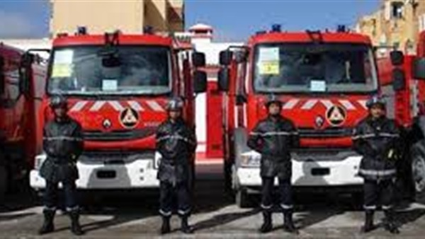 المواطن