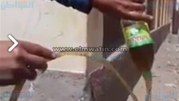 صورة من الفيديو