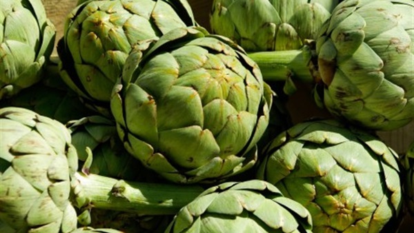 الخرشوف