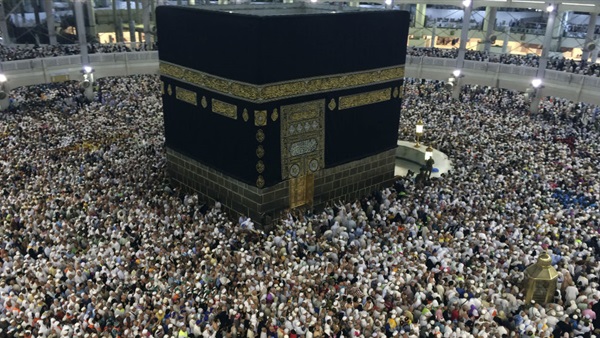 المواطن