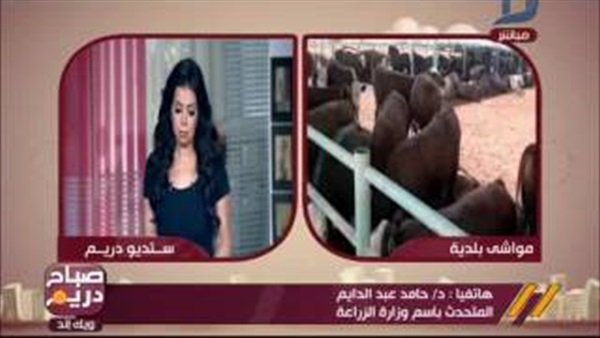 المواطن