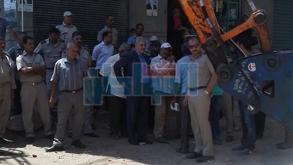 المواطن