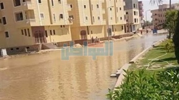 المواطن