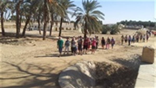 الوادي الجديد