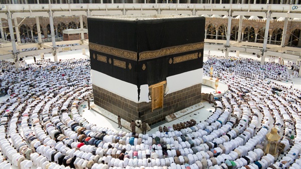 المواطن