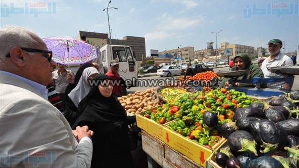 المواطن