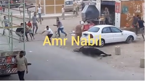 صورة من الفيديو