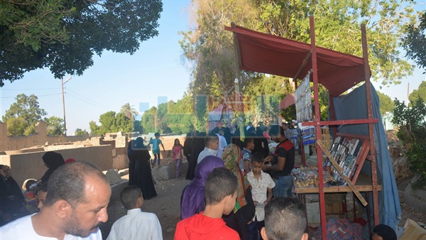 المواطن