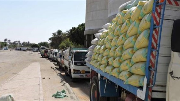 شاحنات - ميناء الإسكندرية
