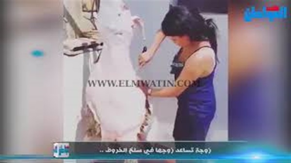 المواطن