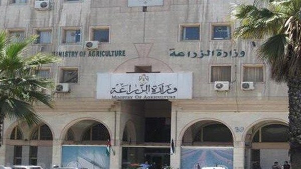 أرشيفية