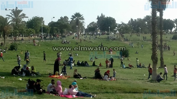حديقة الفسطاط
