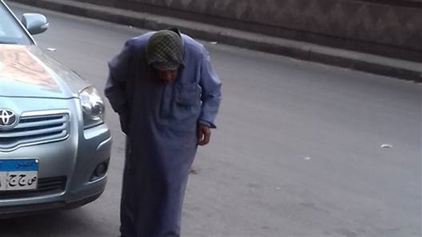 المواطن