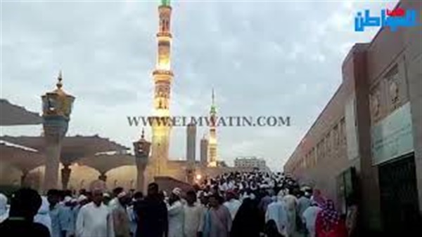 صورة من الفيديو
