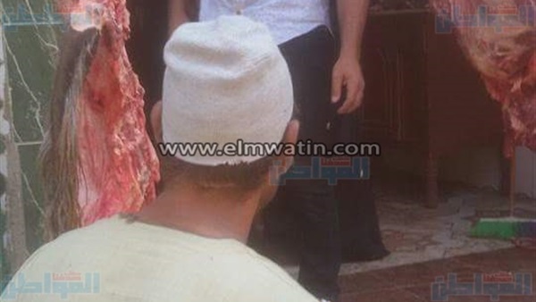 المواطن