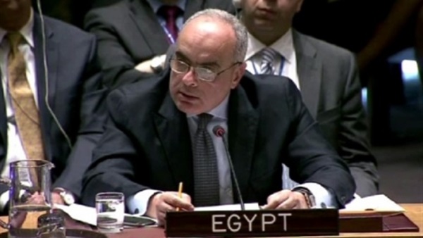 السفير عمرو أبو العطا