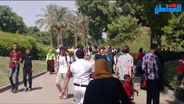 المواطن