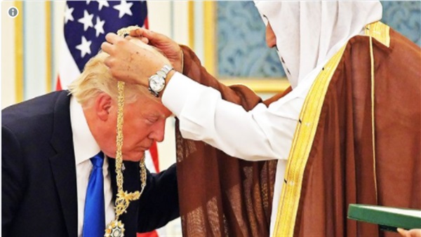 المواطن