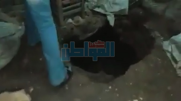 المواطن