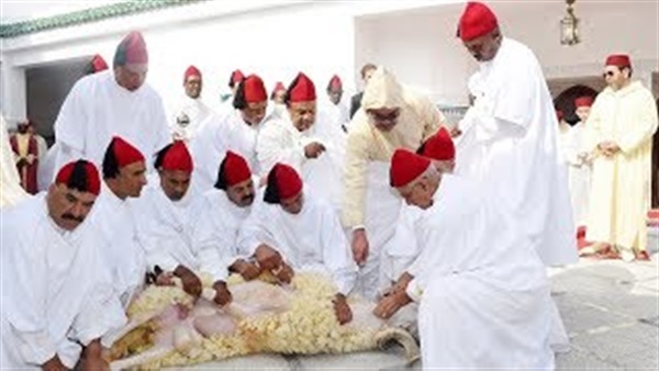المواطن